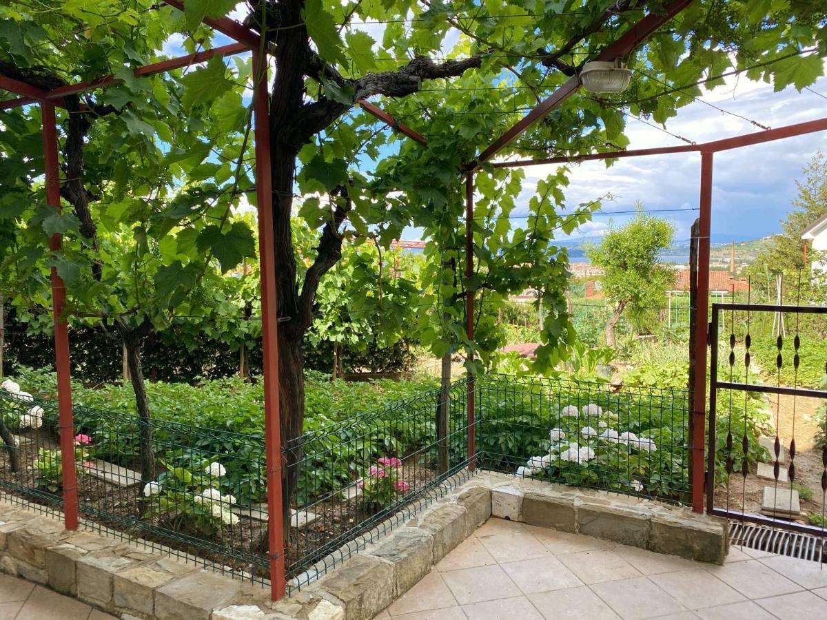 Apartment Gregoric Izola Εξωτερικό φωτογραφία