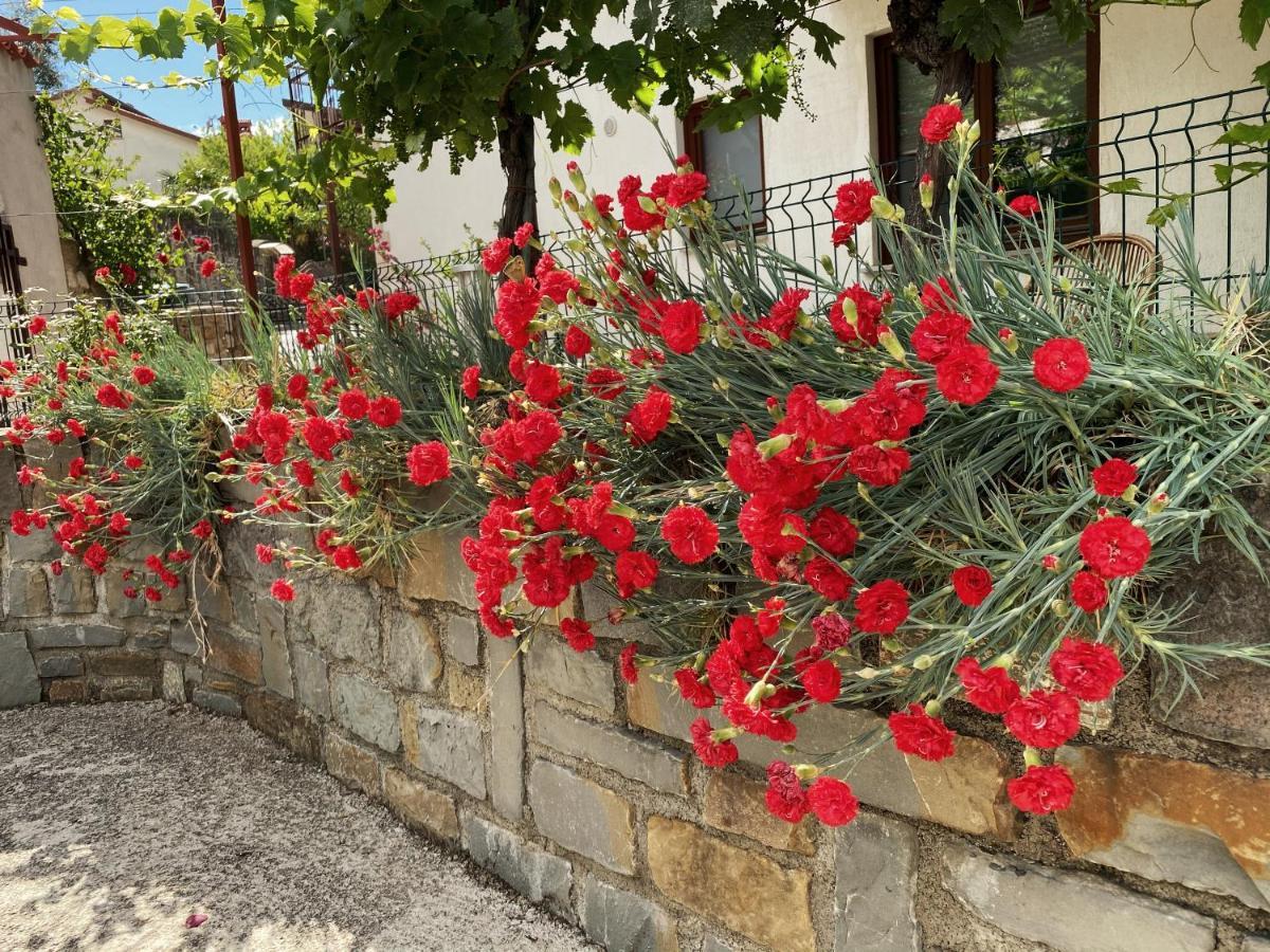 Apartment Gregoric Izola Εξωτερικό φωτογραφία